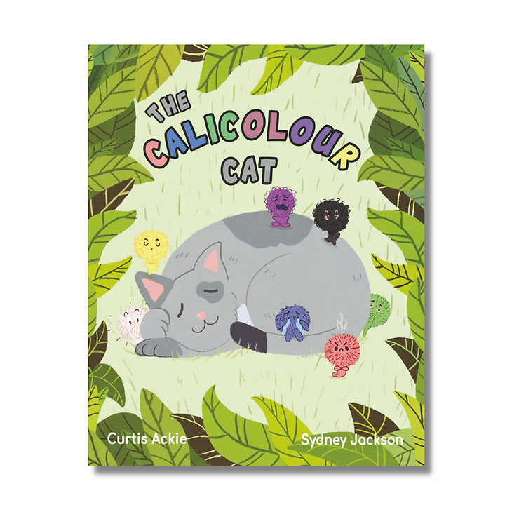 The Calicolour Cat